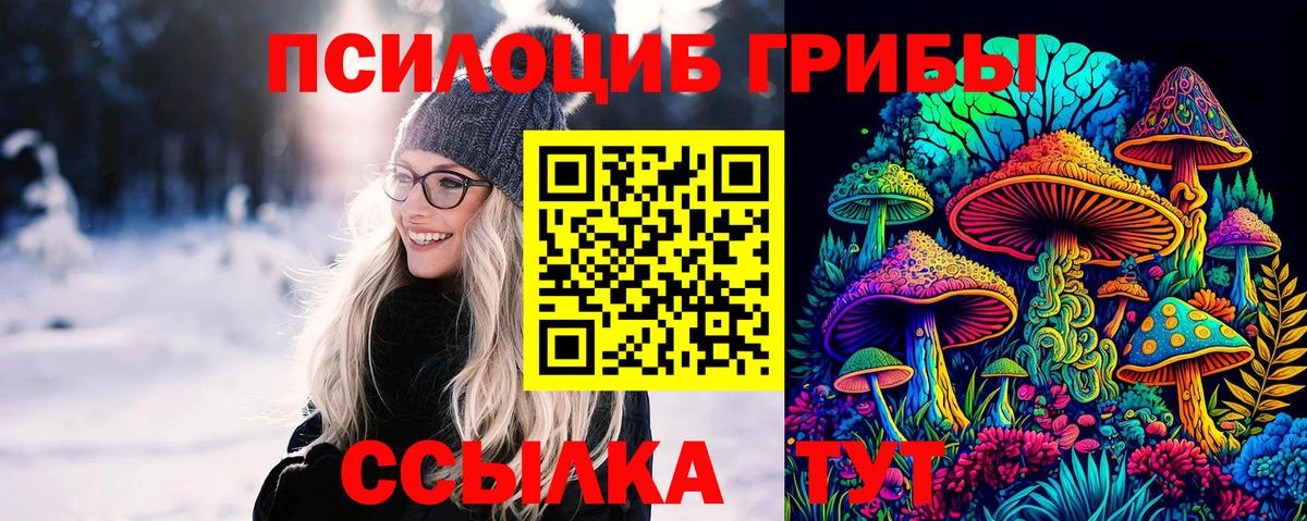 Златоуст  Галлюциногенные грибы ЛСД  Вход с VPN  Галлюциногенные грибы Psilocybe 